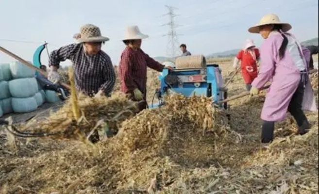 现在农村致富什么最好？看我一一道来，还有表格和案例给你解释清楚