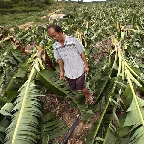 做什么生产类赚钱最快？深度解析与案例分享