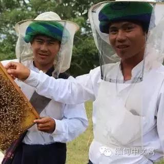 做什么生产类赚钱最快？深度解析与案例分享