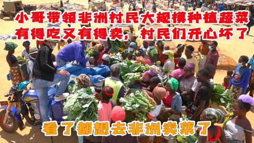 带动村民致富，究竟为了什么？