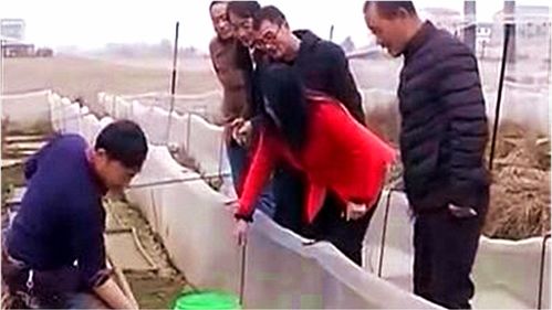 带动村民致富，究竟为了什么？