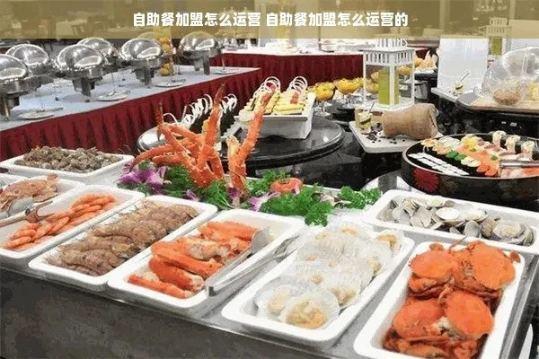 双合盛自助餐加盟攻略，从零开始，轻松开启美食事业！