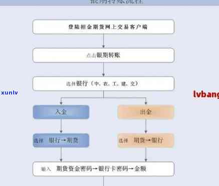 京东白条提现终审全流程解析，从申请到到账的详细指南