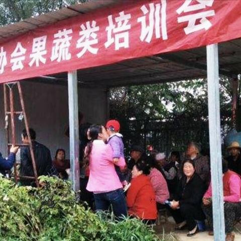 现在农民做什么能致富