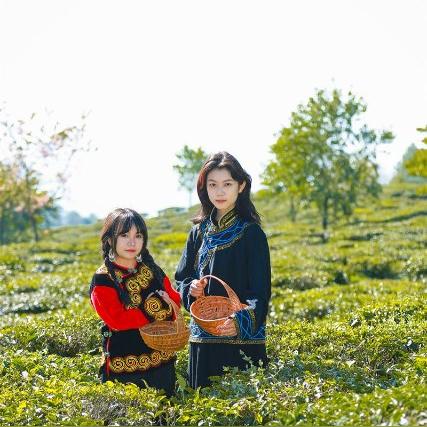 住过酒店记录在哪里查？一文全解析