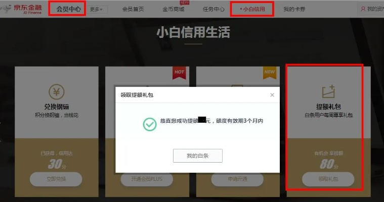 京东白条购物神器，白条取现功能揭秘！