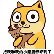 黑客查开房记录，技术手段与法律边界