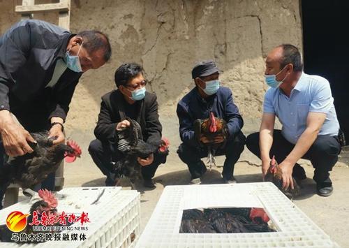 室内养殖什么能致富？这些项目或许能帮你开启财富之门！