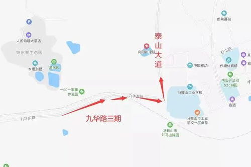 室内养殖什么能致富？这些项目或许能帮你开启财富之门！