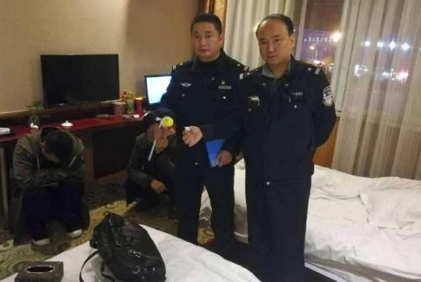 公安凌晨两点查酒店记录，深度解析与案例分享