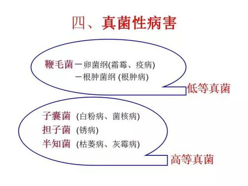 怎么识别加盟商？看这篇就够了！