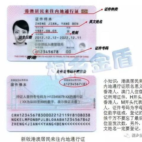 全国酒店入住记录查询，深入了解背后的故事与细节