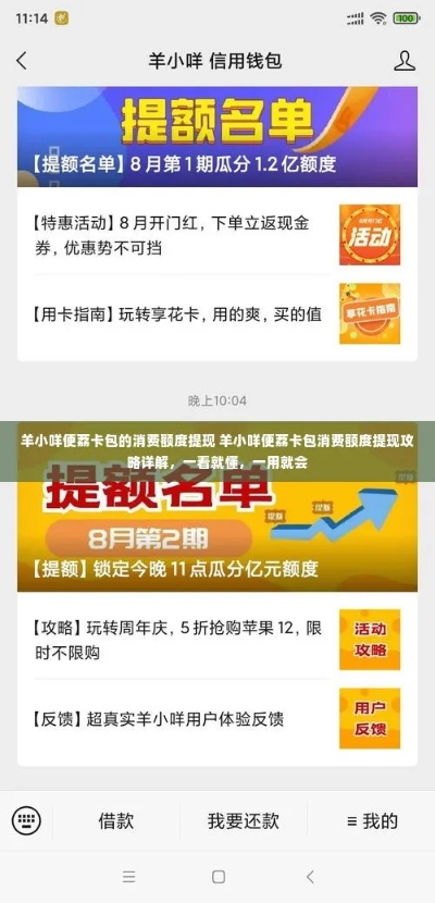 羊小咩便荔卡提额后的提现攻略，揭秘操作流程与注意事项