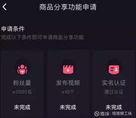揭秘抖音月付提现联盟，轻松赚钱的秘密武器！
