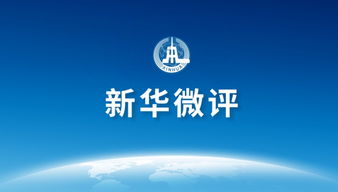 新森林创业模式深度解析，探索成功之路的多个方面