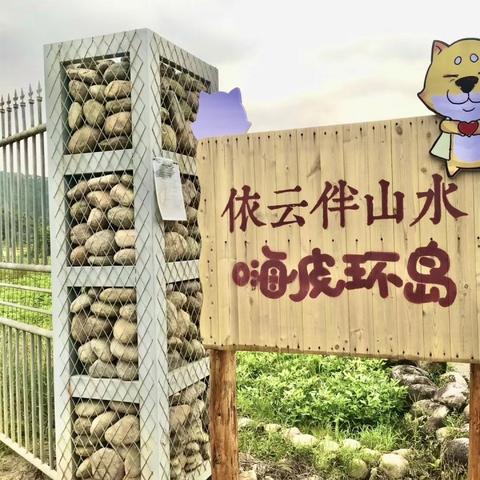 韶关电脑租赁品牌—您的办公设备解决方案专家
