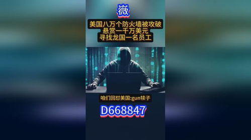 正规黑客24小时接单，解密背后的故事与案例分析
