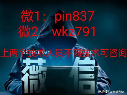 正规黑客24小时接单，解密背后的故事与案例分析