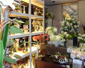 洞头区花店装修公司品牌介绍
