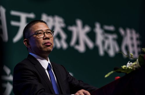 梅州首富的财富之路，揭秘他的赚钱秘诀