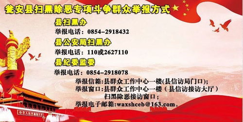 什么项目能引领群众走向致富之路？一起来探讨下这些好项目