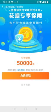 花呗专用额度的妙用与风险