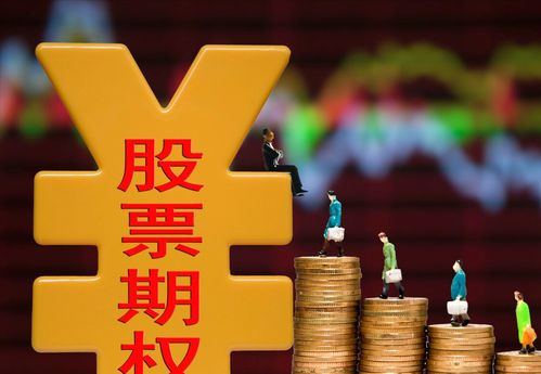 揭秘购物分期乐，真的可以套现吗？风险与案例全解析
