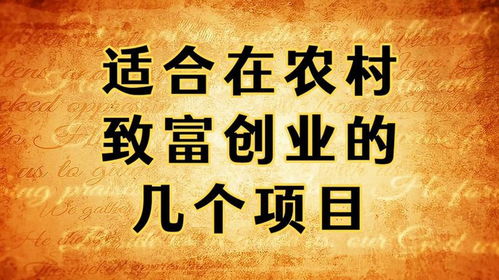 创业不能致富？别灰心，真相可能在这里