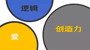 中欧家居股份品牌总监的全面职责与工作策略