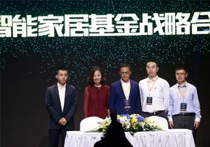 中欧家居股份品牌总监的全面职责与工作策略