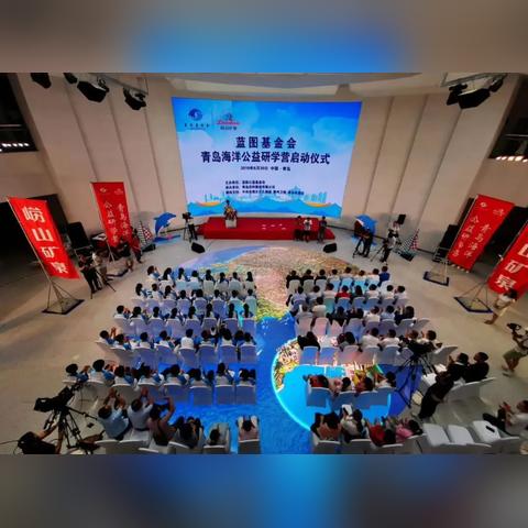 医药品牌销售管理策略与实践案例