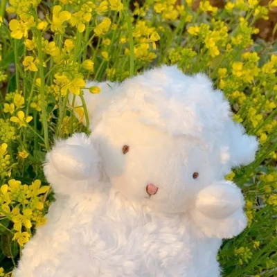 毕节羊小咩享花卡，兑现幸福生活新选择！