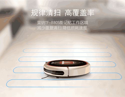 探索化妆界的宝藏品牌，哪款产品让你脱颖而出？