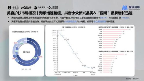 化妆品品牌分析，从市场地位到消费者洞察