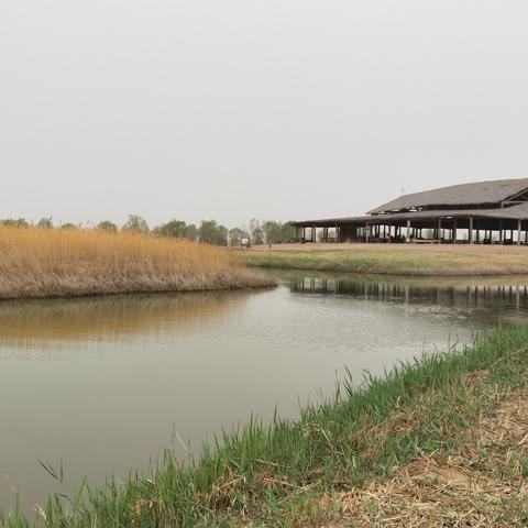 银川餐饮品牌大盘点，数量与特色一览