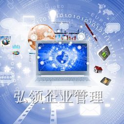 挣钱致富项目全解析，热门项目、案例与潜在机会