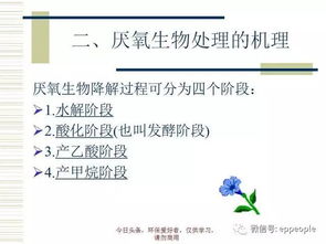 怎么套出微店放心花的钱—实用指南与案例分析