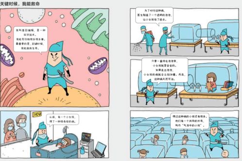 什么设备致富效果最好？深度解析带您一探究竟