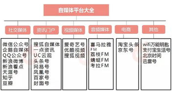 轻松搞定资金周转—毕节白条提现攻略全解析