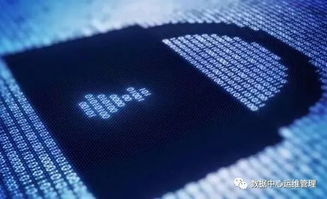 探寻正规黑客私人联系方式—揭秘网络安全背后的神秘力量