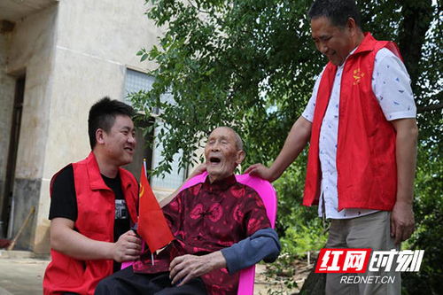 老年人喜爱的家电品牌与案例分析