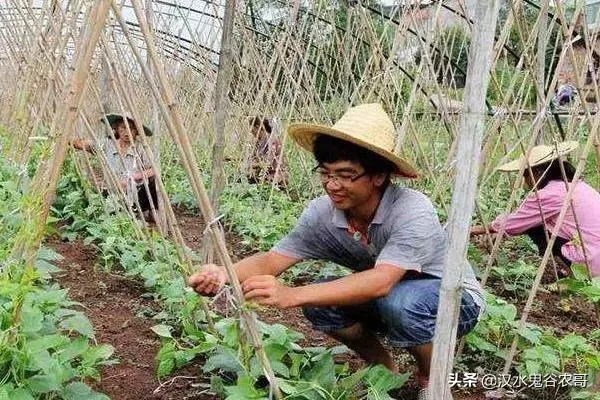 乡下做什么生意能致富？让我告诉你！