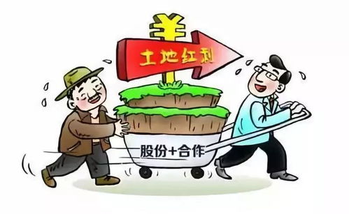 农民发展致富靠什么，亲身经历与观察的思考