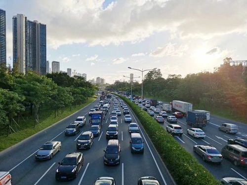 在佛山干什么能致富？一起来探讨这座城市的致富之路