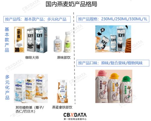 母婴品牌大王，从市场定位到品牌塑造的全攻略