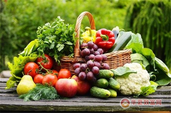 永顺华有机蔬菜加盟之路，一步步带你走向成功