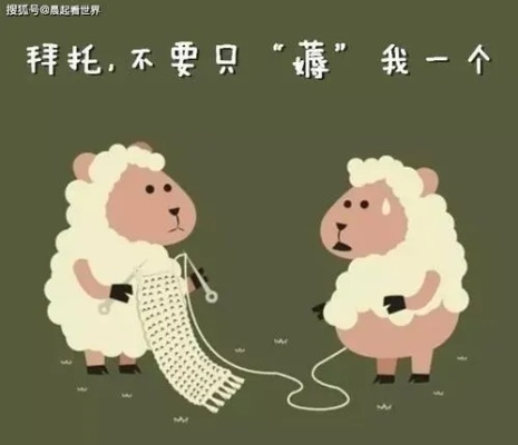 羊小咩便荔卡提额包套，轻松提升信用卡额度，快来了解一下！
