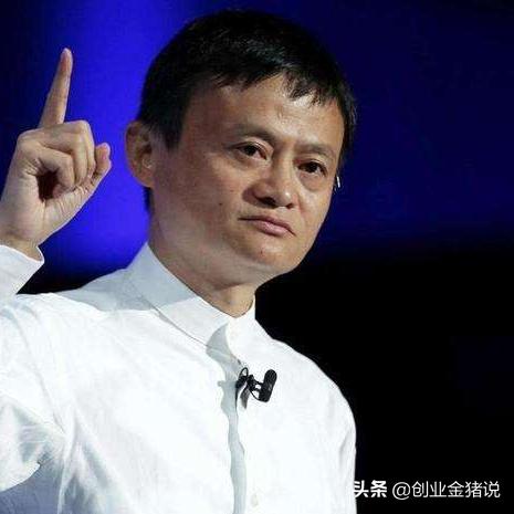 搜狐，揭秘其主要赚钱业务与案例解析