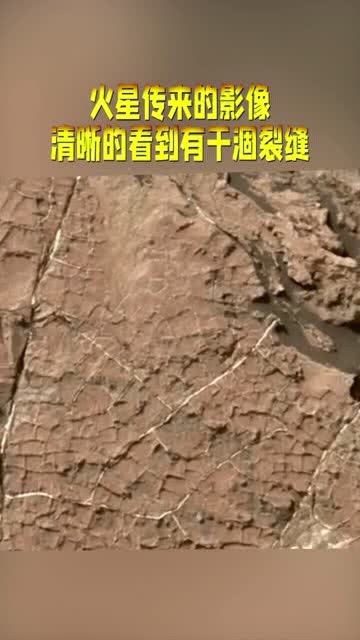 干涸的山地种什么致富？看这里你就明白了