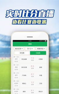 揭秘比分期乐取现平台，轻松赚钱的比分竞猜新玩法